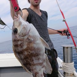 だて丸 釣果
