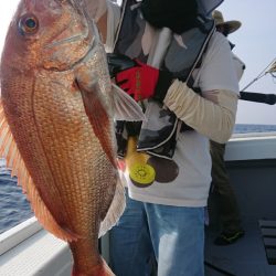 だて丸 釣果