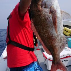 だて丸 釣果