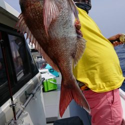 だて丸 釣果