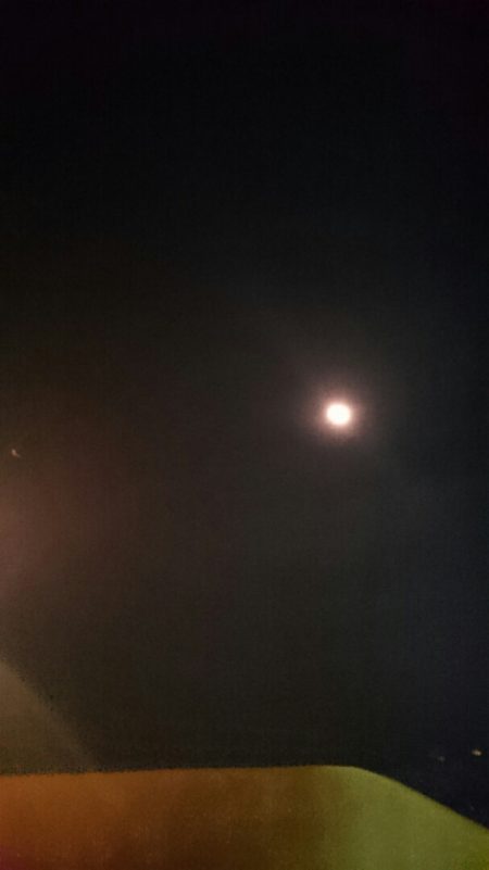 海龍丸（石川） 釣果