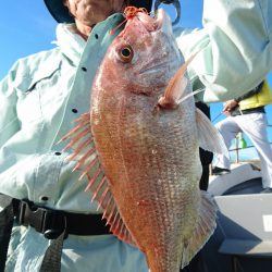 海皇丸 釣果