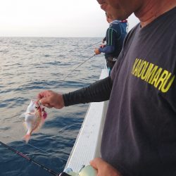 海皇丸 釣果