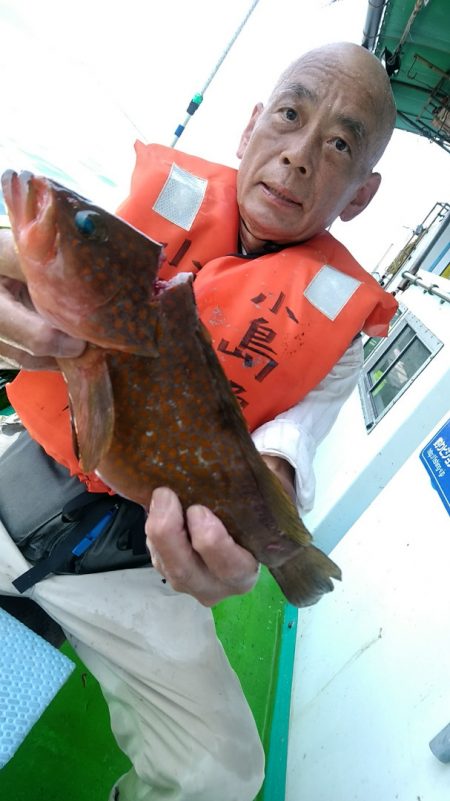 小島丸 釣果