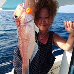 ARCADIAⅡ (アルカディアⅡ) 釣果