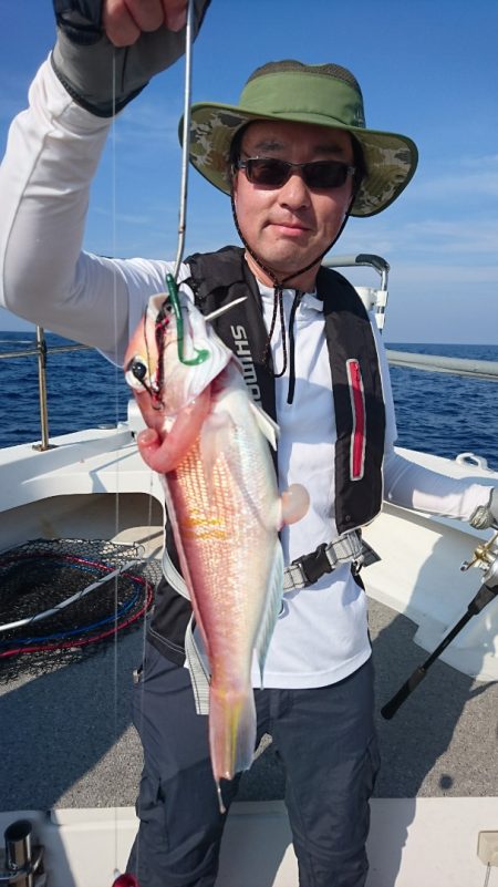 ARCADIAⅡ (アルカディアⅡ) 釣果