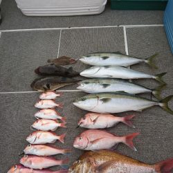 ARCADIAⅡ (アルカディアⅡ) 釣果