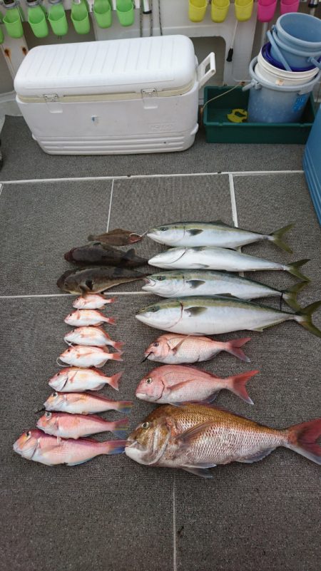 ARCADIAⅡ (アルカディアⅡ) 釣果