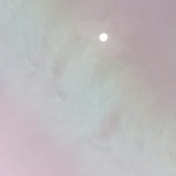 海龍丸(石川) 釣果