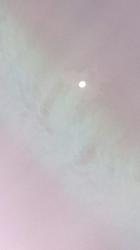 海龍丸(石川) 釣果