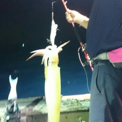 海龍丸(石川) 釣果