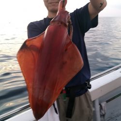 LUSTER『ラスター』 釣果