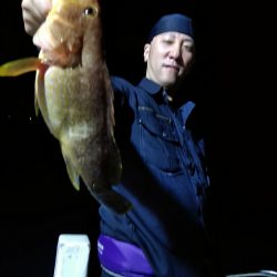 LUSTER『ラスター』 釣果