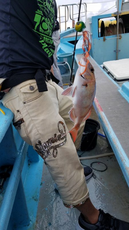 みやけ丸 釣果