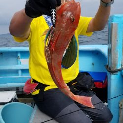 みやけ丸 釣果