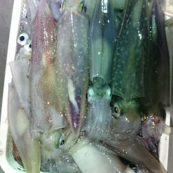 海龍丸(石川) 釣果