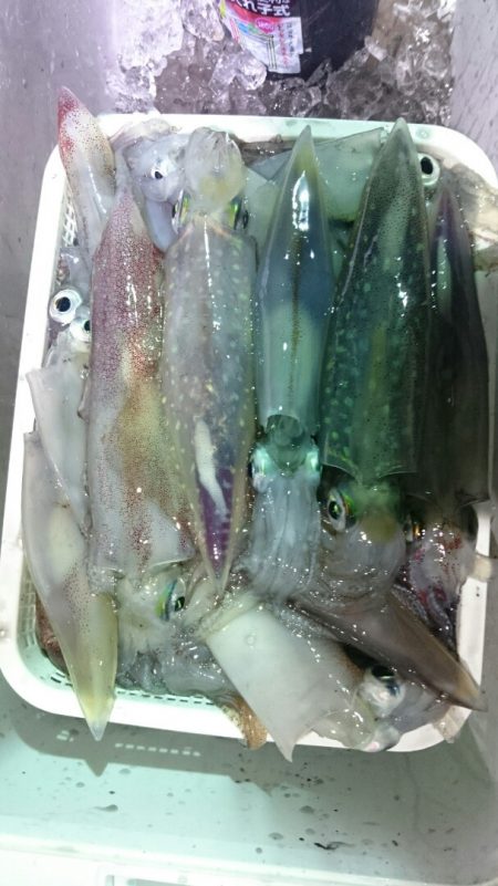 海龍丸(石川) 釣果