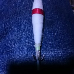 海龍丸（石川） 釣果