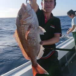 だて丸 釣果