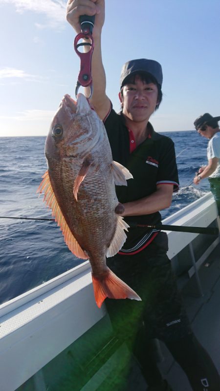だて丸 釣果