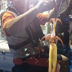 海龍丸（石川） 釣果