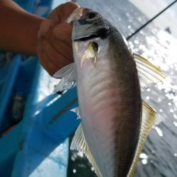 みやけ丸 釣果