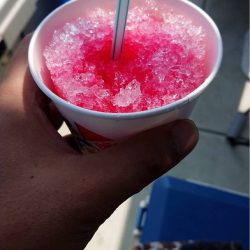 遊漁船メテオ 釣果