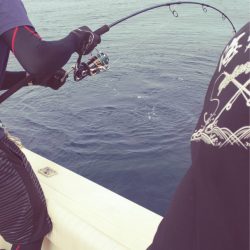 海友丸 釣果