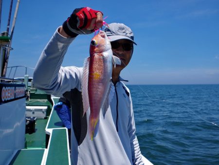 Big One　ビッグワン 釣果