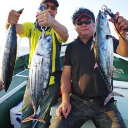 Big One　ビッグワン 釣果