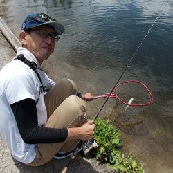 平谷湖フィッシングスポット 釣果