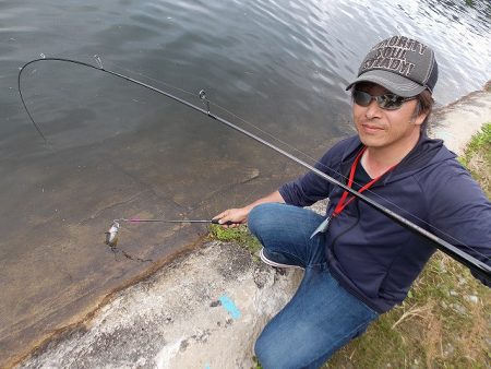 平谷湖フィッシングスポット 釣果