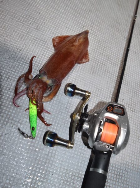 渡船屋たにぐち 釣果