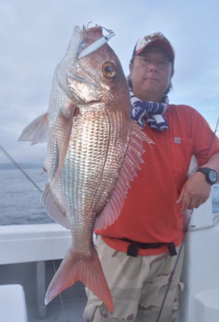 渡船屋たにぐち 釣果