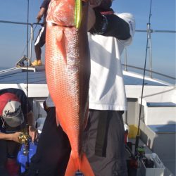渡船屋たにぐち 釣果