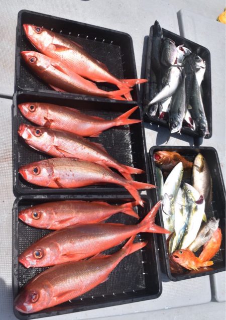 渡船屋たにぐち 釣果