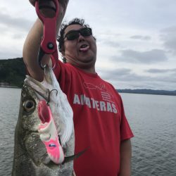 アマテラス 釣果