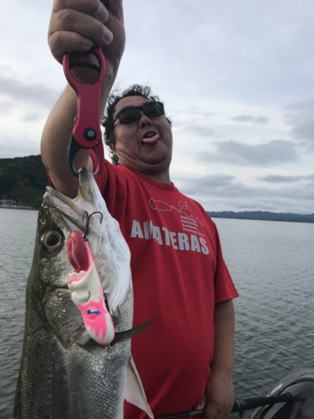 アマテラス 釣果