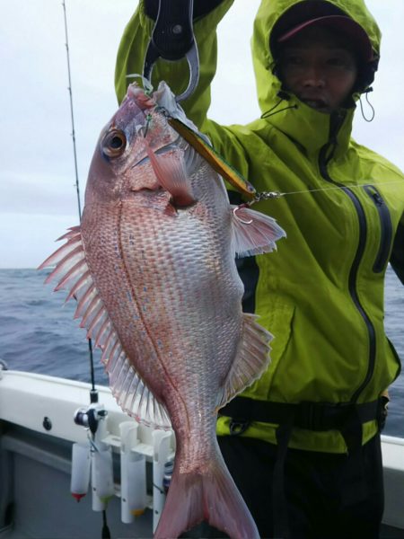 光生丸 釣果