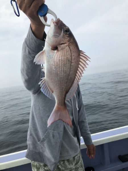新幸丸 釣果