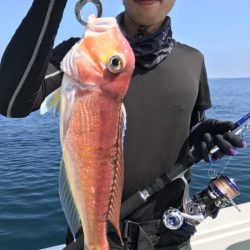 アマテラス 釣果