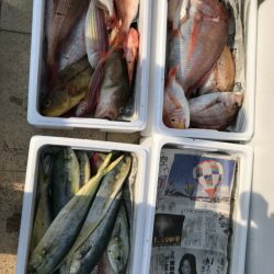 海皇丸 釣果