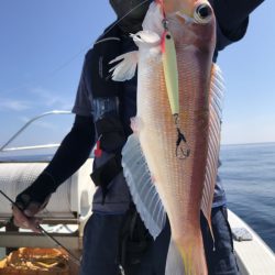 アマテラス 釣果