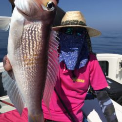 アマテラス 釣果