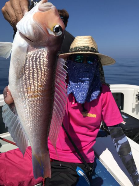 アマテラス 釣果