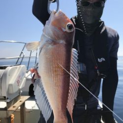 アマテラス 釣果