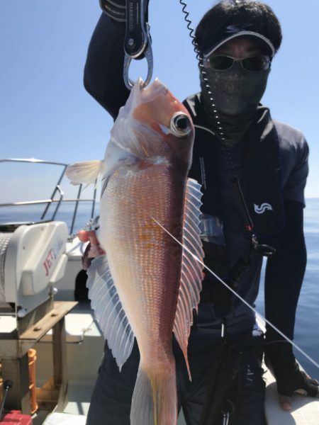 アマテラス 釣果