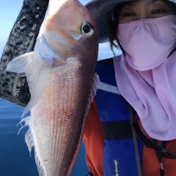 アマテラス 釣果