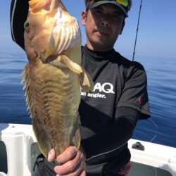 アマテラス 釣果