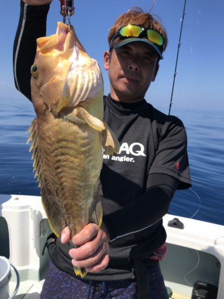 アマテラス 釣果